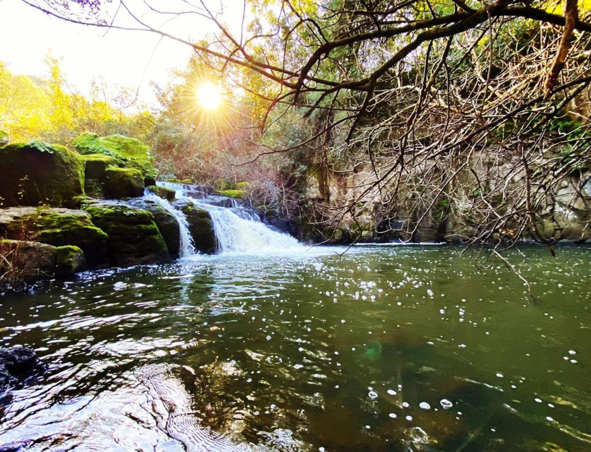 Nuraghe Ruiu Camping & Bungalow Norbello Экстерьер фото